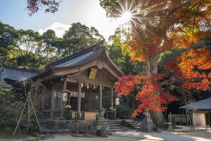 宝満宮竈門神社