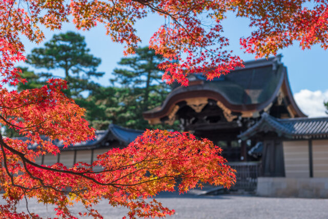 Kyoto Imperial Palace: Exploring the History and Beauty of the Imperial Family