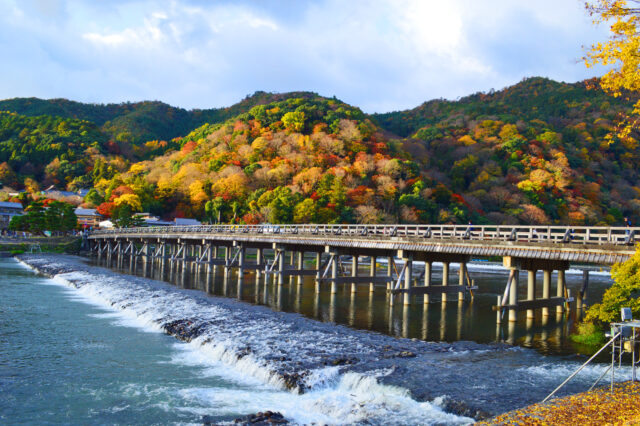 Arashiyama: A Healing Space Where Nature and History Merge