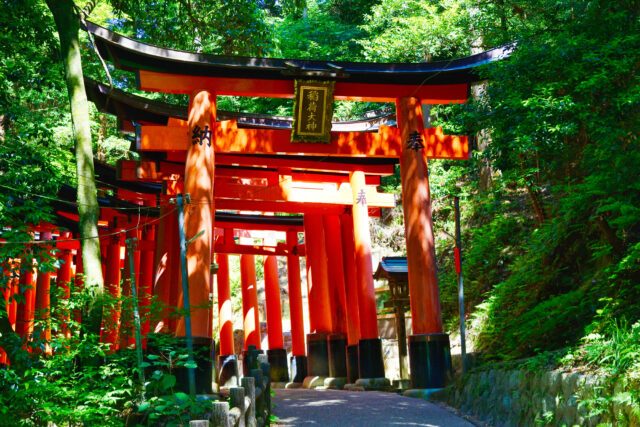 Fushimi Inari Taisha: A Mysterious Journey Through the Thousand Torii Gates