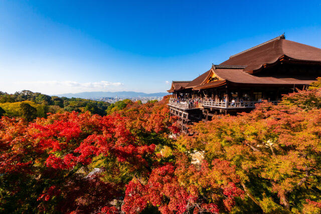 Kiyomizu-dera: Enjoying the Breathtaking Views and History of the Ancient Capita