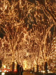 SENDAI Pageant of Starlight (Sendai, Miyagi Prefecture)