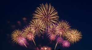 今年の夏、あなたの心に残る花火大会はどれ?