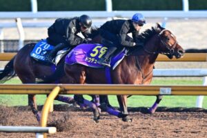 騎手の違い：育成方法と騎乗スタイルの対比