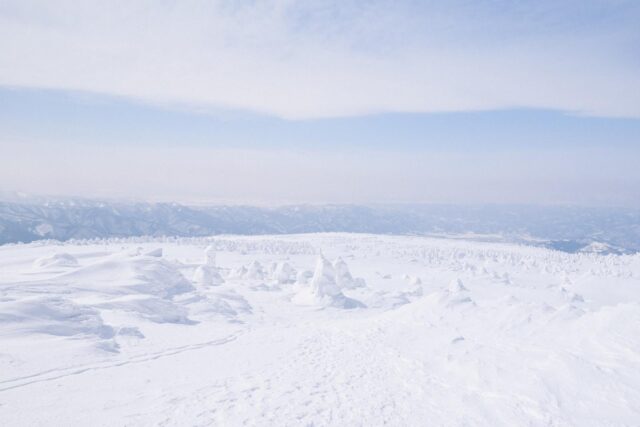 まとめ——山形県で特別な体験を！