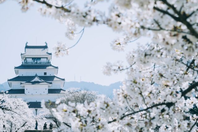 鶴ヶ城 (Tsuruga Castle): 日本唯一の赤瓦の天守閣