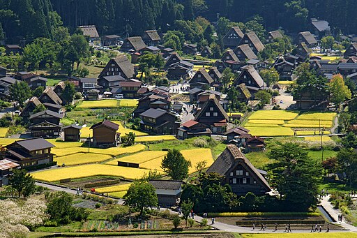 您需要非自願訪問！日本可持續旅遊業的吸引力和經驗