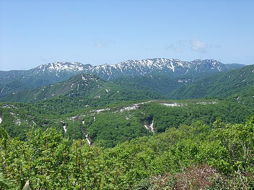 2. 白神山地：ブナ林で癒しのひとときを