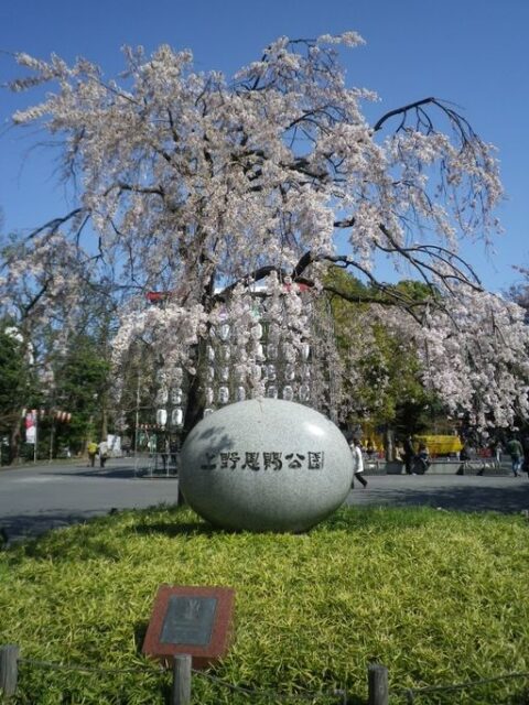 1. 上野公園（東京都）