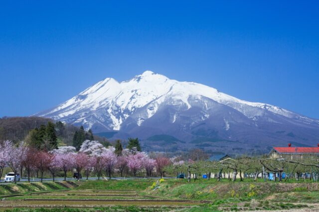 5. 白神山地：世界遺産に触れる静寂の森