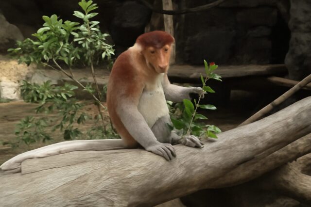3. よこはま動物園ズーラシア(神奈川県)