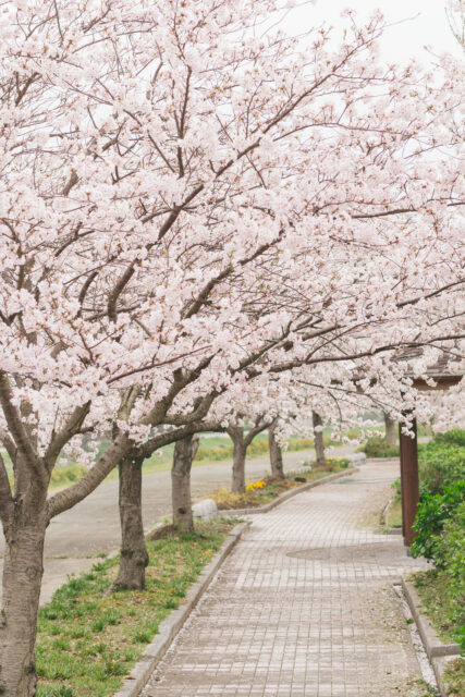 🚶 2. 歩道を歩くのは右？左？場所によって違いすぎる！