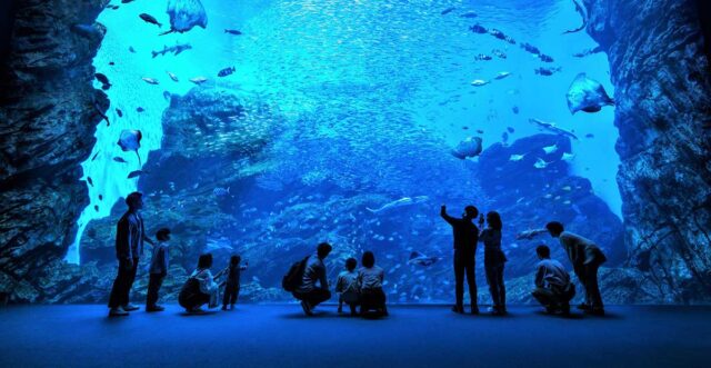 4. 仙台うみの杜水族館：東北の海を間近に体験