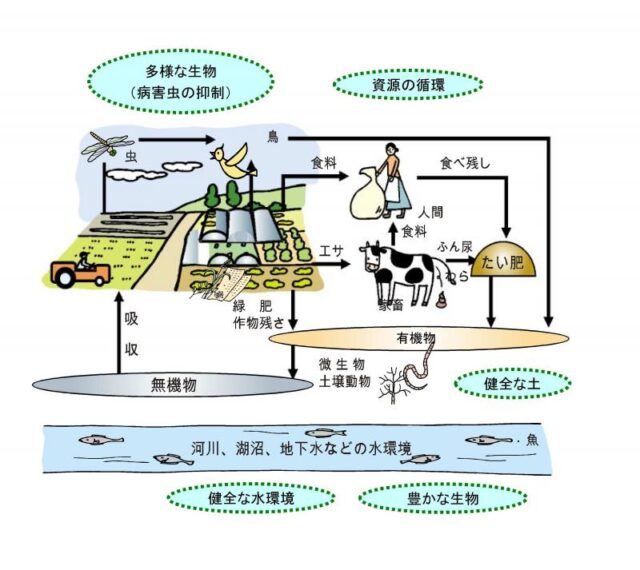 ケース2：環境保全型農業（ECA）