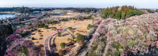 歴史と静寂が調和する——偕楽園