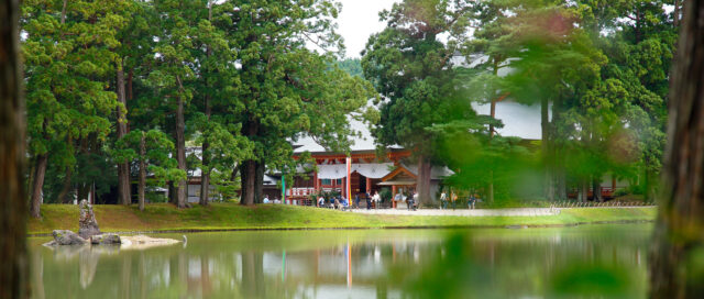 2. 毛越寺（もうつうじ） – 浄土庭園で心安らぐ癒しの時間