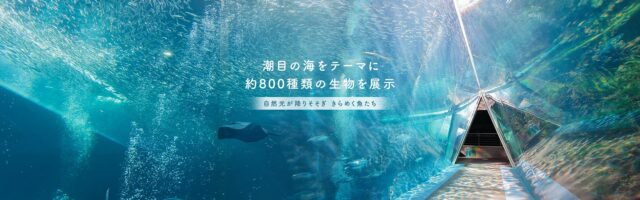 アクアマリンふくしま (Aquamarine Fukushima): 環境保護を学びながら楽しめる水族館