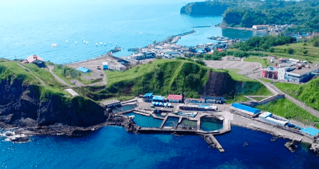 ⑥ おたる水族館:海獣たちと触れ合える🐧🐟