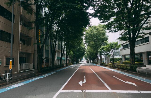 🚗 3. 交差点では「左折が優先」！知らないと事故る！？