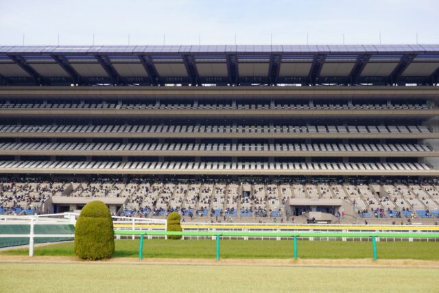 【エピソード②】高知競馬への移籍——「負けるための競走馬」