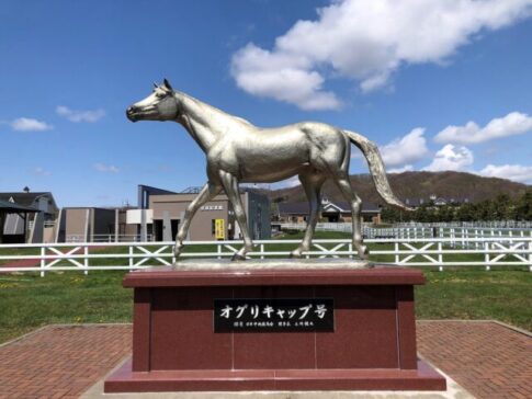 An episode about the legendary famous horse, Oguri Cap!