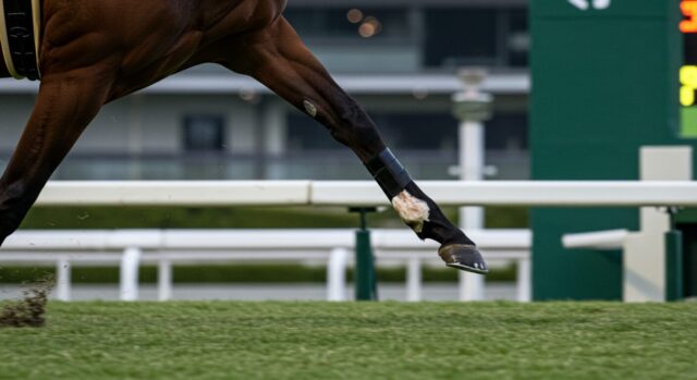 武豊の涙―「止めた時点で、もうダメだと思った」