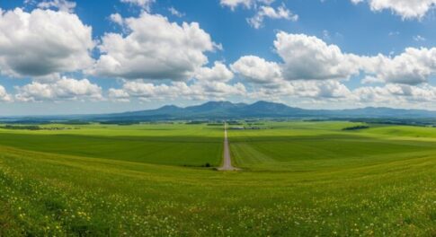 「北海道で体験する自然の美しさと文化の深さ：外国人旅行者必見のおすすめ観光スポット５選」