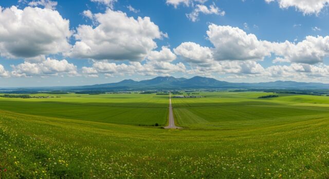 「北海道で体験する自然の美しさと文化の深さ：外国人旅行者必見のおすすめ観光スポット５選」