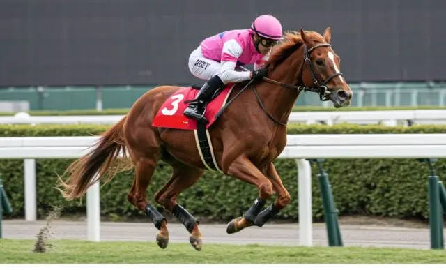 名馬列伝シリーズ 第二回]⚡「世紀末覇王」テイエムオペラオー