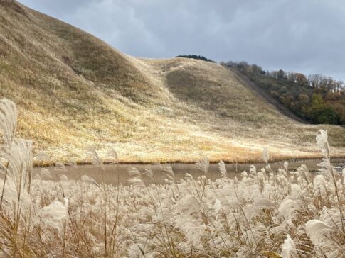 【人混みを避けたいあなたへ】奈良の静かで美しい穴場絶景5選｜観光疲れの外国人に贈る“本物の日本”
