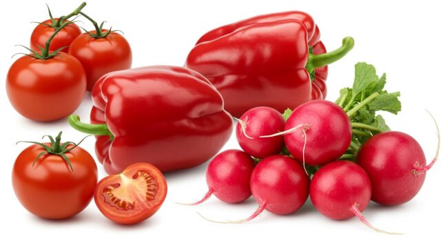 🍅プロローグ:赤い野菜に、人生を救われた日🍅