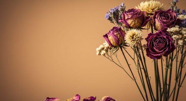 💌🌸 あなたにとって、忘れられない「花の記憶」はありますか?