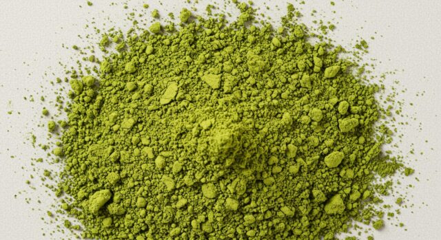 ☀️🍵その朝、わたしは「お茶」に救われた。