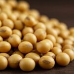 【自分を大切にする魔法】──日本人が愛した「大豆製品」のやさしさ