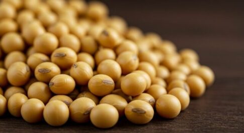 【自分を大切にする魔法】──日本人が愛した「大豆製品」のやさしさ