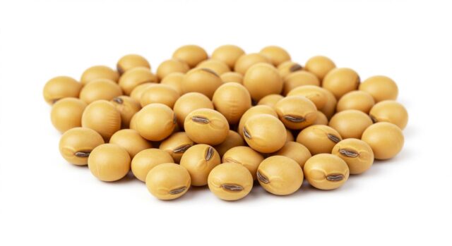 🧠 大豆製品がくれる「ほんとうの健康」