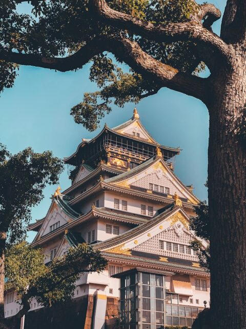 「サムライの城はなぜ堕ちなかったのか？堀に隠された戦国の最強戦術」