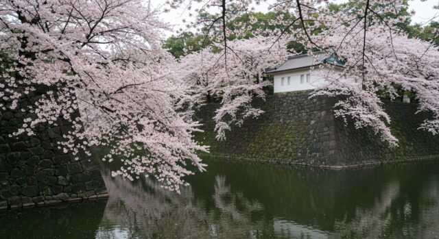 4. 福岡県…舞鶴公園、大濠公園など
