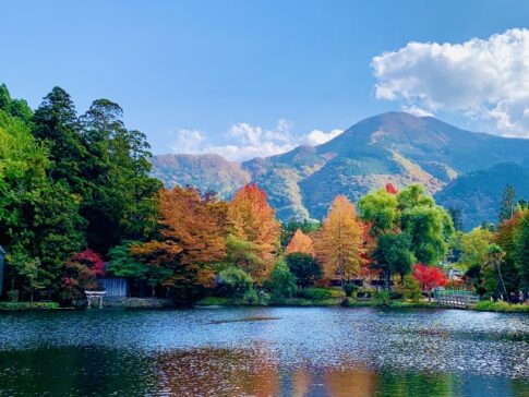 大分県の有名観光スポット：湯布院の魅力について！！