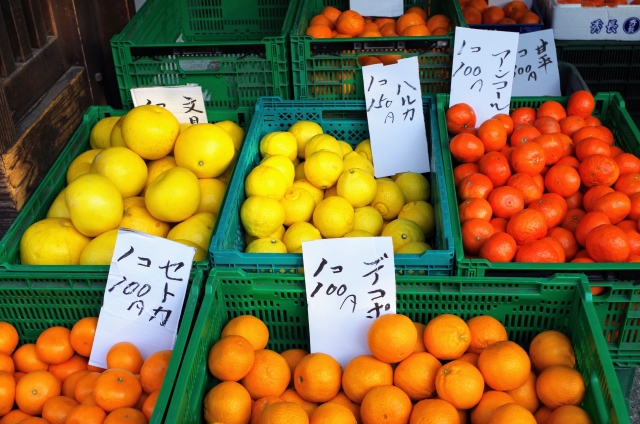 日本を旅するなら「旬の味」を探して!