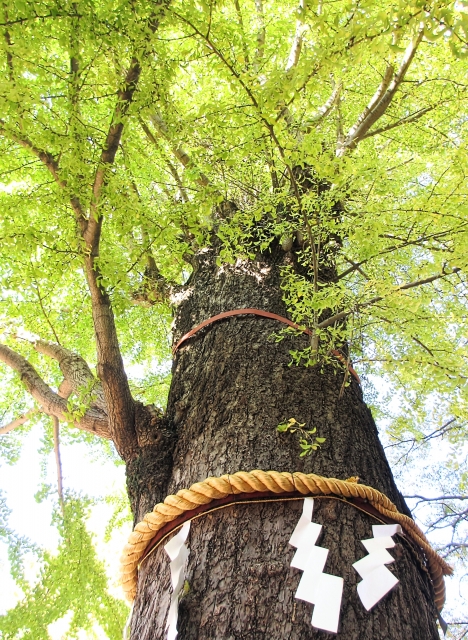 「無宗教」と言わずに伝えるには?