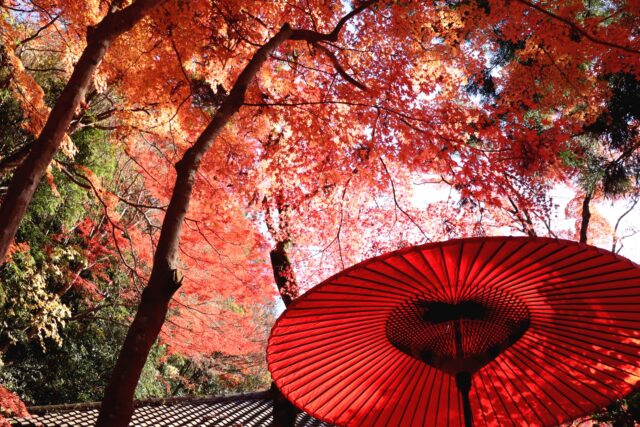 瑞宝寺公園