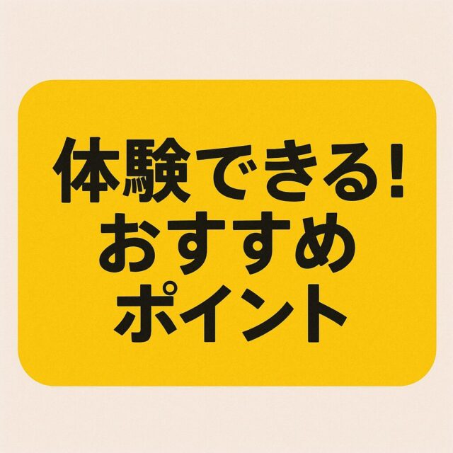 🧸札幌で体験できる!おすすめポイント5選