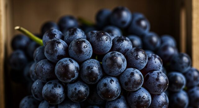 ぶどう(Grapes)– 日本ワインの秘密がここに!