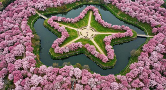 4. 五稜郭公園(函館)