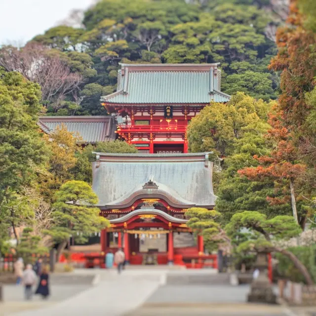 けっけの体験談｜“旅”じゃなくて、“心の整え時間”だった鎌倉