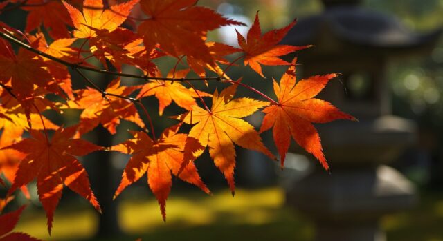 他の記事も是非お読みください