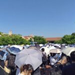 日本の夏に日傘が大活躍？海外と全然違う“色白文化”を解明！