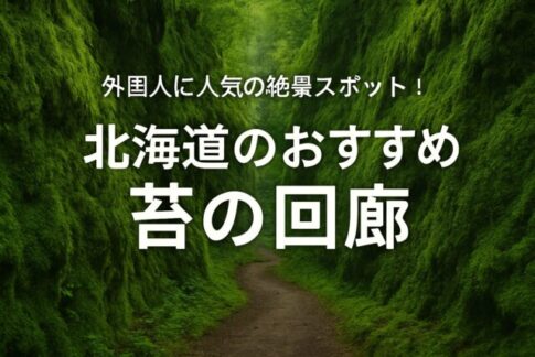 北海道の“苔の回廊”で、世界がまだ知らない“静寂の絶景”に出会う旅【支笏湖】