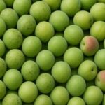 青梅は、果実じゃない。日本の“季節の薬”なんだ。」──初夏の奇跡と薬膳の知恵【保存版